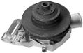 MAGNETI MARELLI Wasserpumpe 350981822000