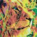 Crystal Art Puzzle Crystal Art - Kit de broderie diamant - Lion