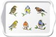 Ambiente Plateau 13x21cm espèce d'oiseau blanc