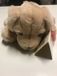 Keel Toys Knuffel hond puppy