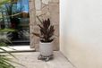 Louis Moulin Rouleur de plante en aluminium rond 30cm