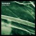 Green Dramamine - Green Horse (LP)