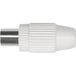 Axing CKS 1-00 Connecteur coaxial