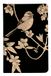 Clairefontaine 116035C - Mini Genaaid Notitieboek Illustratie Natuur op kraft omslag - 7,5x12 cm 48 pagina's effen papier ivoor 90g - Le Cerisier Blanc Collectie - 6 designs willekeurig