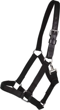 Pagony Halster Extra Sterk - Maat: Cob - Zwart - Nylon
