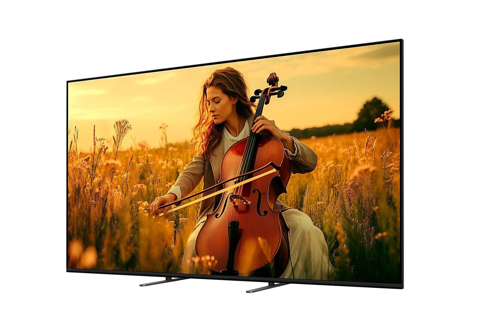 Sony K55XR59B / Flat screen / 55 inch / 2025