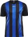 Craft-shirt Progress Jersey Stripe M Black/Royal Blue