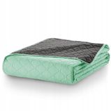 DecoKing Axel Dekendeken Mikrofiber Mintgroen 170x270cm