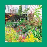 Unwishing The Reds, Pinks & Purples - Unwishing Well (LP) (Coloured Vinyl) (Limited Edition)