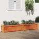 Maison Exclusive - Jardinières, 2 pièces, brun lavé, pin massif