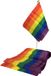Kleine LGBT+ Pride Pennant Small 30 cm