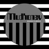 Konkurrent Mudhoney Morning In America (LP)