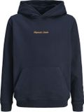 JACK&JONES JORNORREBRO EMB SWEAT HOOD NOOS JNR Jongens Sweaters