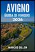 AVIGNO GUIDA DI VIAGGIO 2026