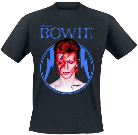 Bowie, David David Bowie Aladdin Circle Heren T-shirt - zwart - M