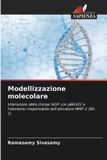 Modellizzazione Edizioni Sapienza Modellizzazione molecolare Paperback