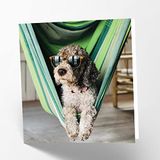 Maturi Lege wenskaart met ontspannende hond afbeelding