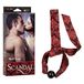CALEXOTICS - Scandal Bal Mondstuk