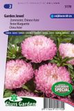 Sluis Garden Aster Garden Jewel Rose (Zomeraster)