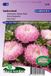Sluis Garden Aster Garden Jewel Rose (Zomeraster)