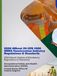 2026 Official 29 CFR 1926 OSHA Construction Industry Regulations & Standards: 2026 March Update of Mandatory Regulations & Standards