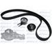 DOLZ Pompe à eau + kit de courroie de distribution DOLZ KD016
