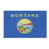 AZ FLAG Vlag Montana 150x90 cm