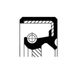 CORTECO 19026742B Aandrijfelementen | Compatibel met: TOYOTA YARIS