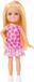 Barbie Familie en Vrienden Pop