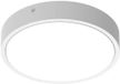 Ledvance TL éclairage Blkh rd sen 300 p 18w cps wt l