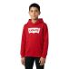Levi's Boys Batwing Screenprint Hoodie Red/White 10Y