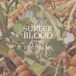 Fierce Panda Surfer Blood 1000 Palms