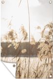 Poster de jardin - Pampas - Plumets de pampa - 60x90 cm - Bannière