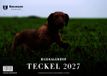Teckel Neumann-Neudamm GmbH Teckel 2027 - Themenkalender