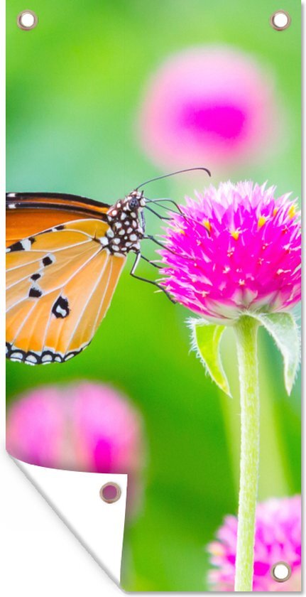 Tuinposter - Vlinder - Insecten - Bloemen - Fauna - Tuindecoratie - 80x160 cm - Tuindoek