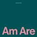 Am Bugge Wesseltoft - Am Are (CD)