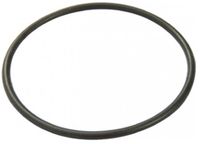 Bestway Filter Cap Seal voor 330gal Filterpomp (NA)