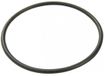 Bestway Filter Cap Seal voor 330gal Filterpomp (NA)