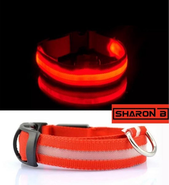 Sharon B Rode LED halsband Maat XL | honden halsband met verlichting | Licht in donker | 3 standen | LED hondenhalsband | LED hondenhalsband | LED hondenriem | LED hondenriem | Led hondentuigje | Led hondentuigje | Houdt uw hond veilig in het donker rood