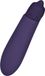 EIS Aubergine Minivibrator 12 cm Waterdicht Huidvriendelijke Siliconen Paars