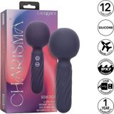 CalExotics Charisma Seduction