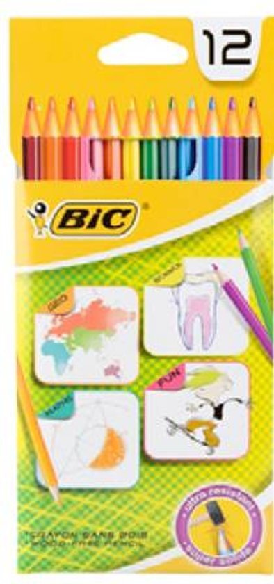 BIC kleurpotloden 12 stuks diverse kleuren