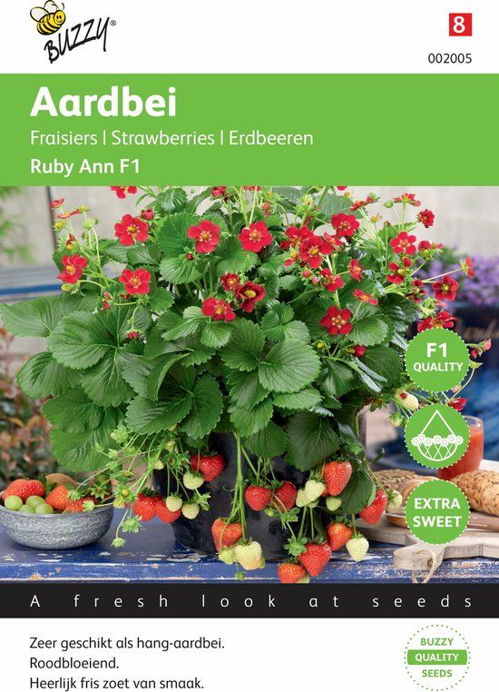 Buzzy® Hangaardbei Ruby Ann F1 roodbloeiend