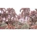 Papier peint panoramique forêt tropicale
