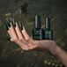 CND Shellac Color Coat Forever Green 455 7.3ml