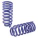 H&R Verlagingsveren compatibel met Nissan Primastar 2014-2019 / NV300 2016-2021 & Opel Vivaro B 2014-2019 & Renault Trafic 2014-2019 & Fiat talento 2016-2019 - (2WD) VA40mm (alleen lange wielbasis)