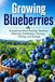 Growing Blueberries: Everything About Planting, Varieties, Watering, Fertilization, Pruning, Fruiting, and Storage