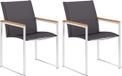 vidaXL Tuinstoelen 2 stuks textileen en roestvrij staal grijs