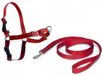PetSafe Easy Walk® Harnas - Rood - L