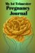 My 1st Trimester Pregnancy Journal